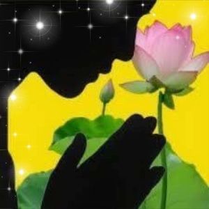 Meet your Posher, Trang